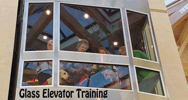 Glass-Elevator-Training_2019